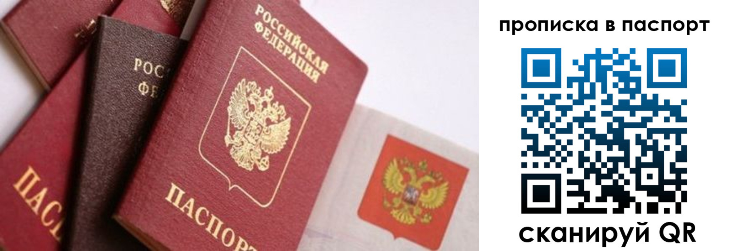 прописка штамп в Грозном